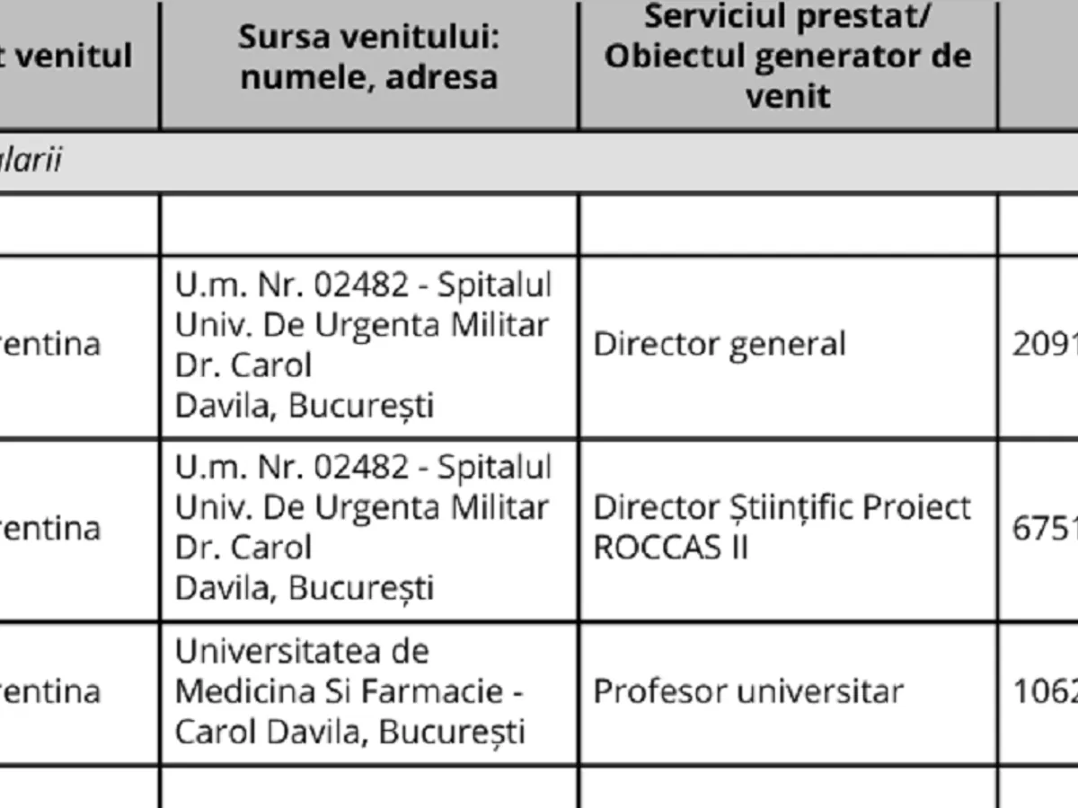 Declarație avere Ioniță - Foto: ANI