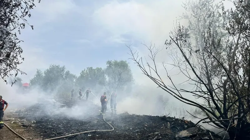 Incendiu masiv lângă București. A venit Garda de Mediu - Foto: Garda de mediu