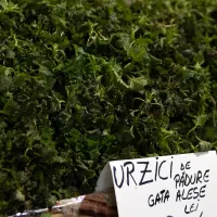 După cireșele ce se vând cât un gram de aur alt produs scump apare în piețe. Oamenii sunt înnebuniți - Foto: Gandul