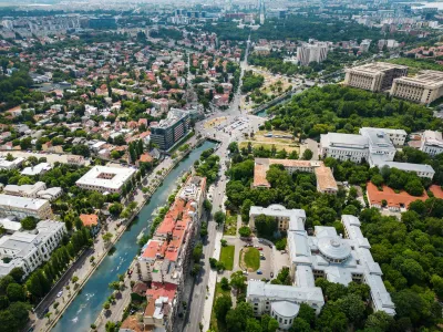 De ce e important să avem copaci în orașe? Viața locuitorilor ar putea depinde de ei