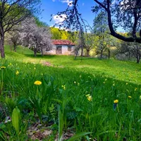 Casa de vis a Gabrielei Andreescu- Foto: Facebook