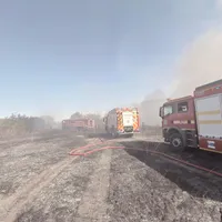 Incendiu de vegetație la marginea Bucureștiului - Foto: ISU - B- IF