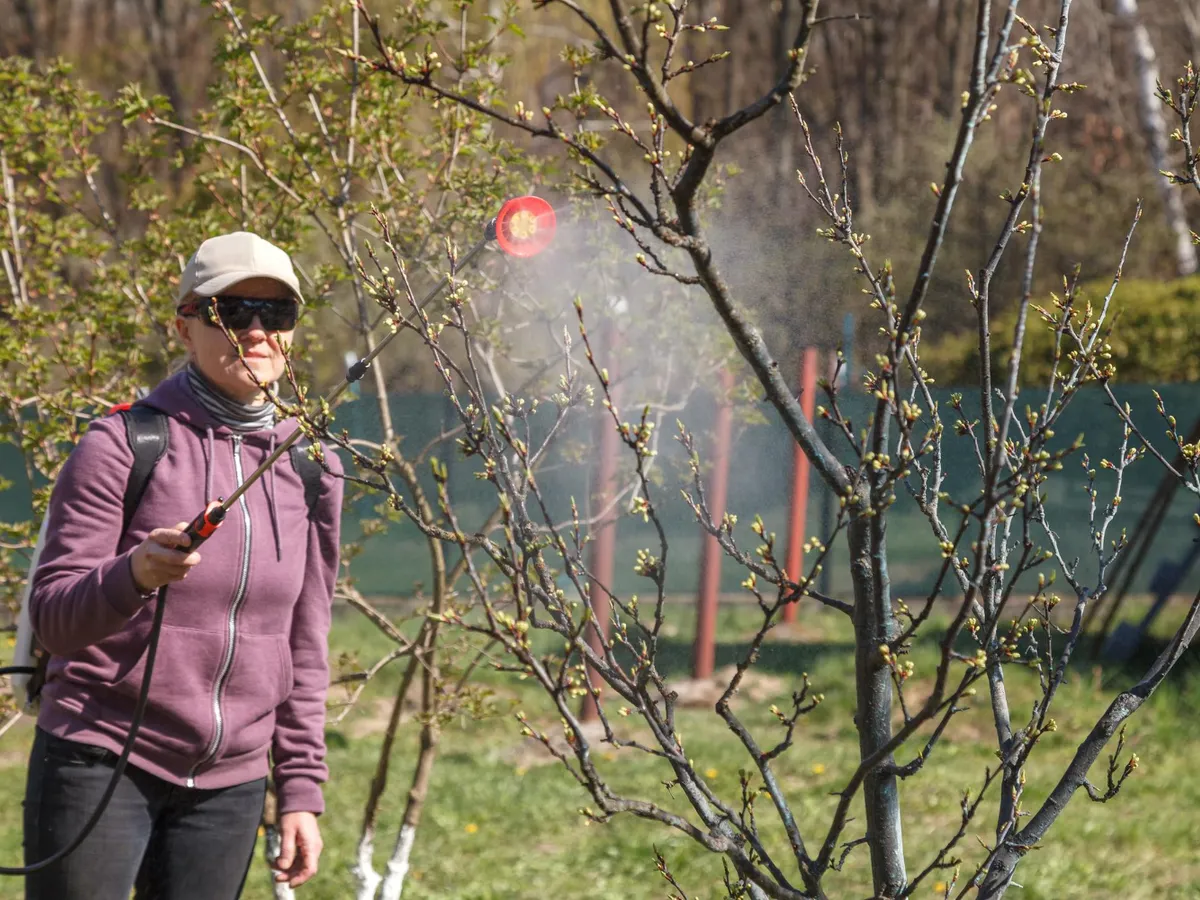 Femeie care stropește pomii - Foto: Freepik (Imagine cu rol ilustrativ)