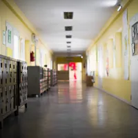 Siguranța elevilor, lăsată de izbeliște. Sute de școli nu au asigurată paza, iar unele nici gard Foto:profimedia