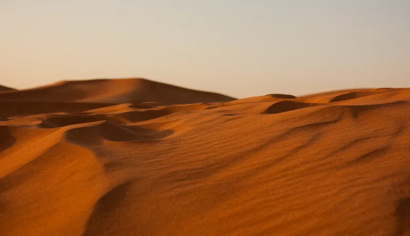Dune de nisip în deșert - Foto: Freepik (rol ilustrativ)