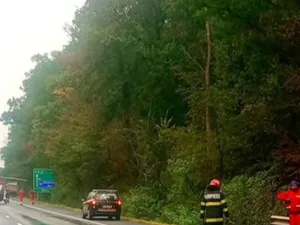 Ipoteză șocantă în cazul accidentului de pe A1. Gestul făcut de cei doi tineri, înainte de a fi loviți de un TIR