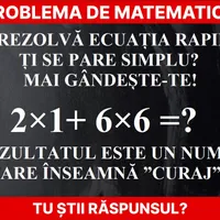 Problemă de matematică Foto: Newsweek