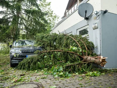 Copac căzut peste mașină - Foto: Profimedia Images (rol ilustrativ)