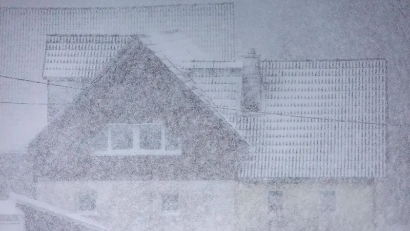 Vremea extremă a devastat România! Sute de localități au rămas fără curent din cauza viscolului - Foto: Profimedia Images/ Imagine cu caracter ilustrativ