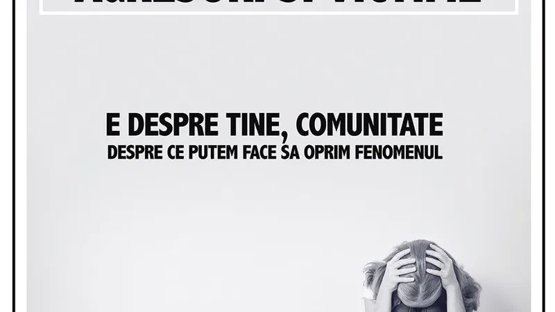 Mara Mare a coordonat un studiu privind bullying-ul în județul Bistrița și a realizat mai multe afișe de conștientizare a violenței. Afiș Consiliul Național al Elevilor Bistrița-Năsăud