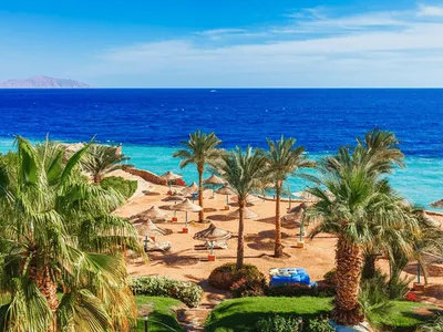 Vacanțele în Egipt, pe fondul tensiunilor din Orientul Mijlociu. În ce condiții își pot primi banii înapoi românii care decid să renunțe la concediu