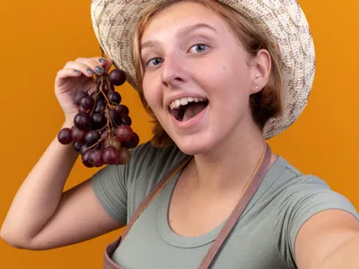 Hultoanele, fructele din copac care îți detoxifică colonul. Sunt sățioase și fac bine la inimă - Foto: Freepik (imagine cu rol ilustrativ_