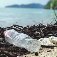 Americanii, cei mai mari poluatori cu plastic. FOTO: Pexels.com