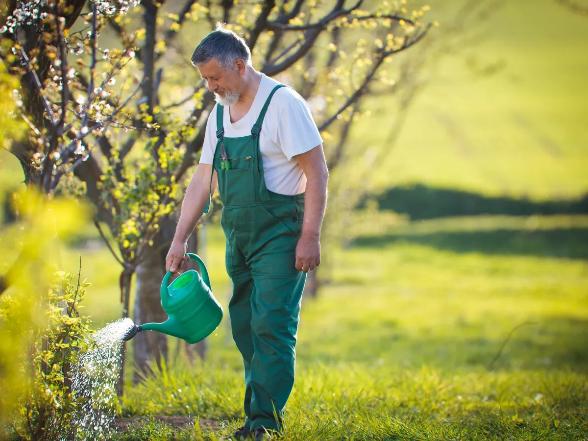 Când ar trebui să începi să uzi din nou gazonul primăvara? Vezi la ce temperatură începe să crească iarba