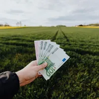 Categoria de fermieri care primește bani de la Guvern. Este vorba de 200 de euro pe hectar - Foto: Economedia / imagine cu caracter ilustrativ