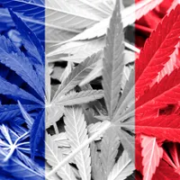 Canabisul, drogul cel mai consumat în Franţa. Peste 40% dintre adolescenţi au încercat în 2020. / Foto: hightimes.com