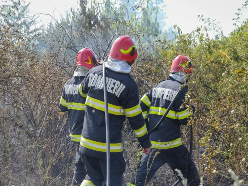 Incendiu de vegetație în Bragadiru. Pompierii intervin cu 8 autospeciale. A fost emis mesaj Ro-Alert - Foto: isubif.ro (rol ilustrativ)