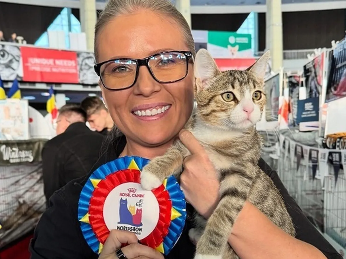 Titlul de popularitate, câștigat de un motănel salvat de pe stradă - Foto: news.ro