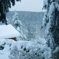 Avertizare meteo cod galben și portocaliu de viscol și ninsori până duminică. Zonele afectate - Foto: Profimedia images