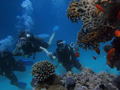 Scubadiving- Foto: PEXELS PHOTOS/Oleksandr Pidvalnyi