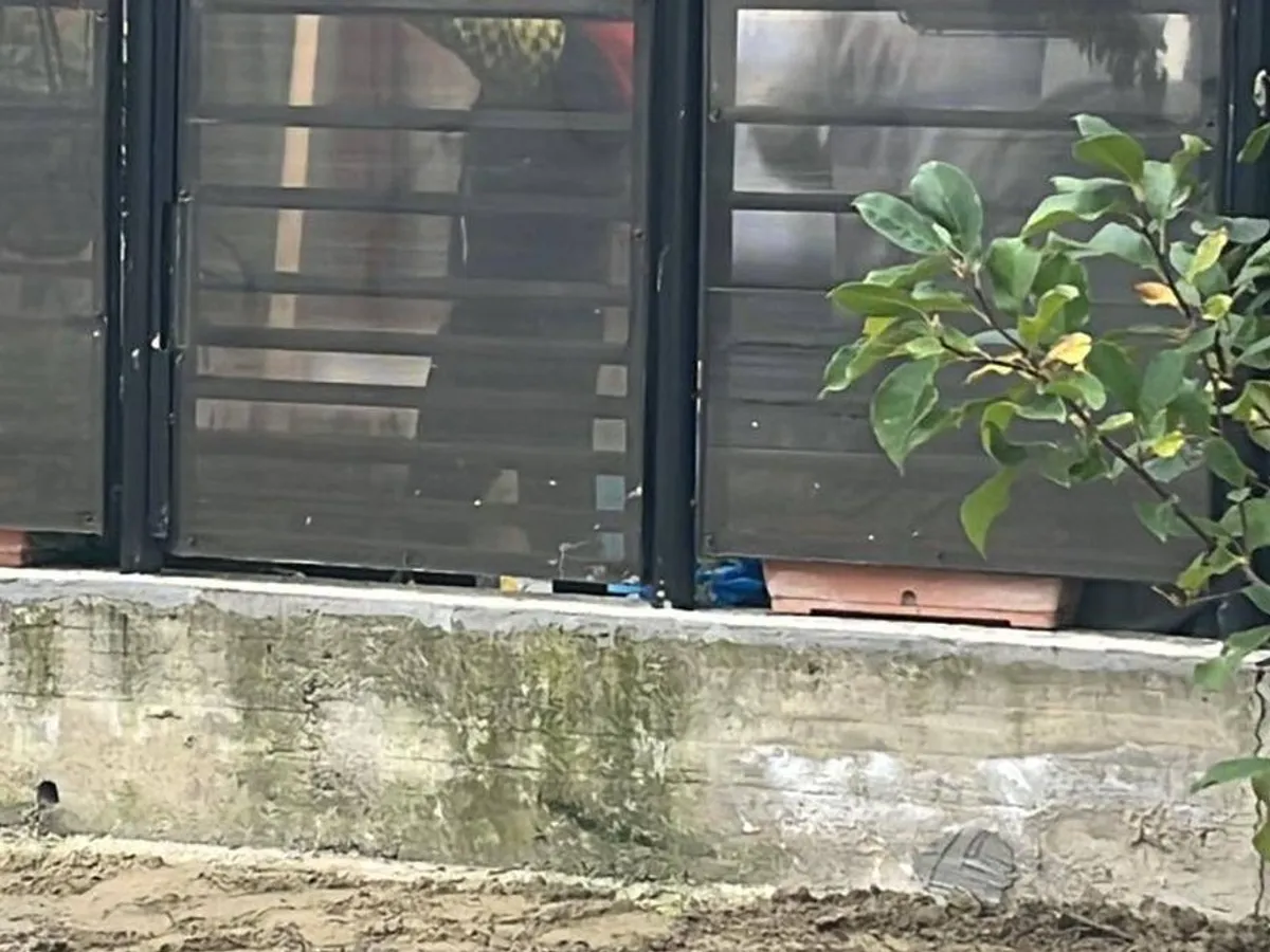 Poarta casei, care dă în curtea şcolii - Foto: Facebook/Cristian Gentea