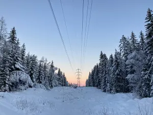 Peste 2.500 de gospodării din Vrancea au rămas fără energie electrică din cauza ploii înghețate/FOTO: Unsplash