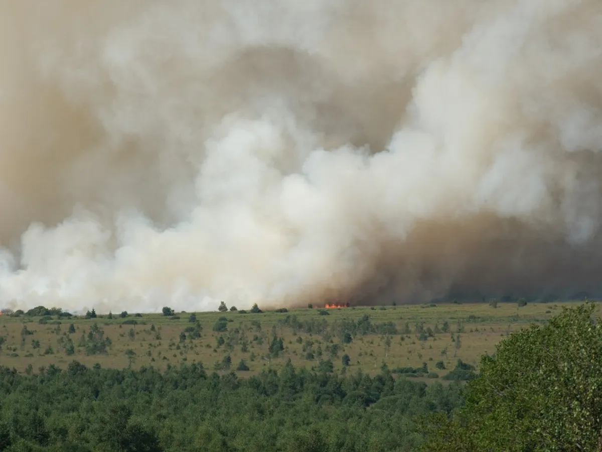 Incendiul din Belgia a izbucnit vineri - Foto: Profimedia Images (cu rol ilustrativ)