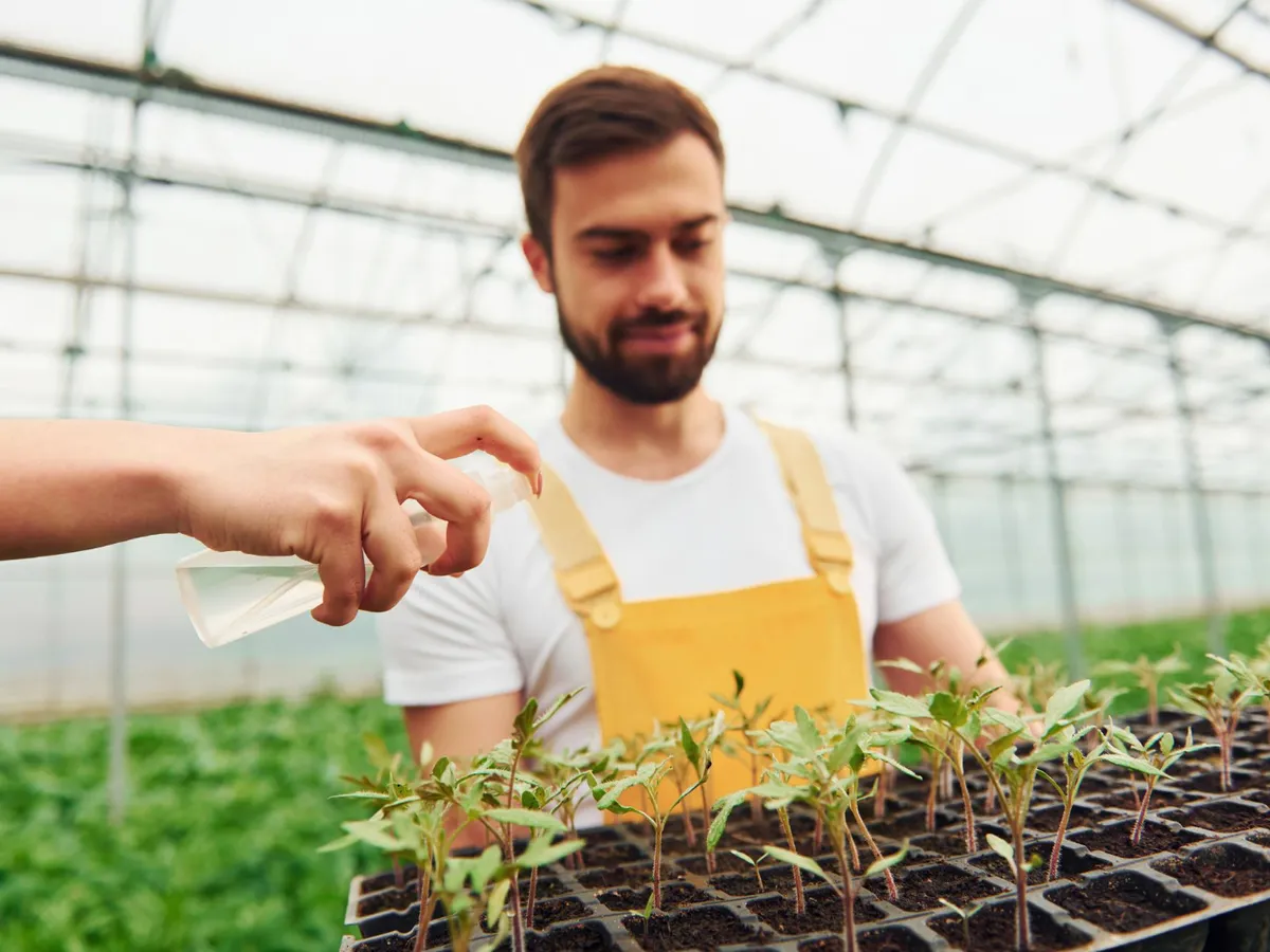 Mâna unei femei care udă plantele cu suport negru în mâini - Foto: Freepik (Imagine cu rol ilustrativ)