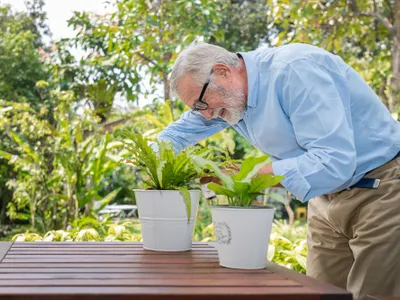 Pensionar îngrijește florile - Foto: Freepik (rol ilustrativ)