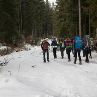 VIDEO Trucul banal prin care sigur nu vei cădea pe trotuarele înghețate. Mișcări comice dar sigure Foto: Pexels (fotografie cu caracter ilustrativ)