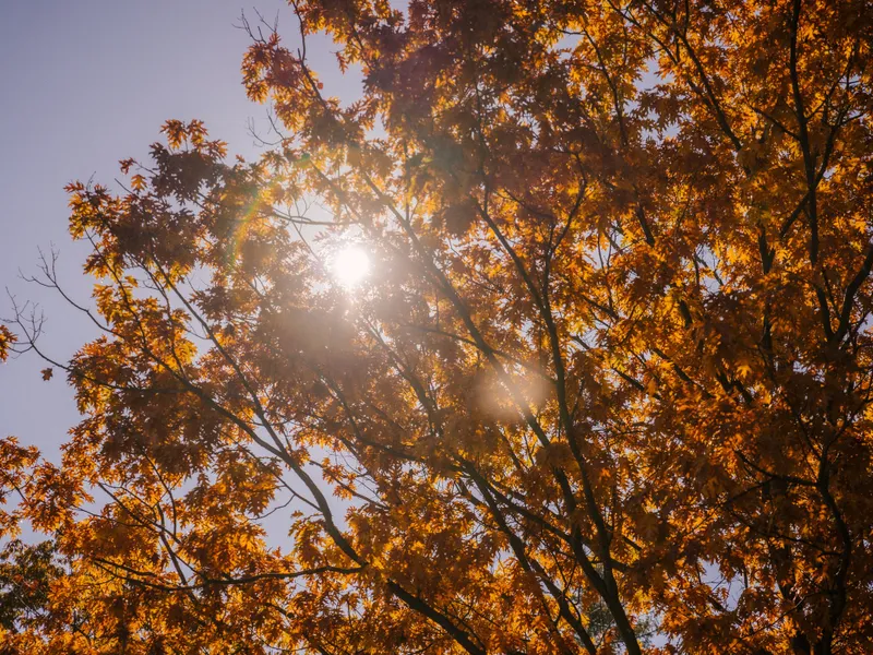 Temperaturile vor fi specifice acestei perioade a anului. FOTO: Pexels.com