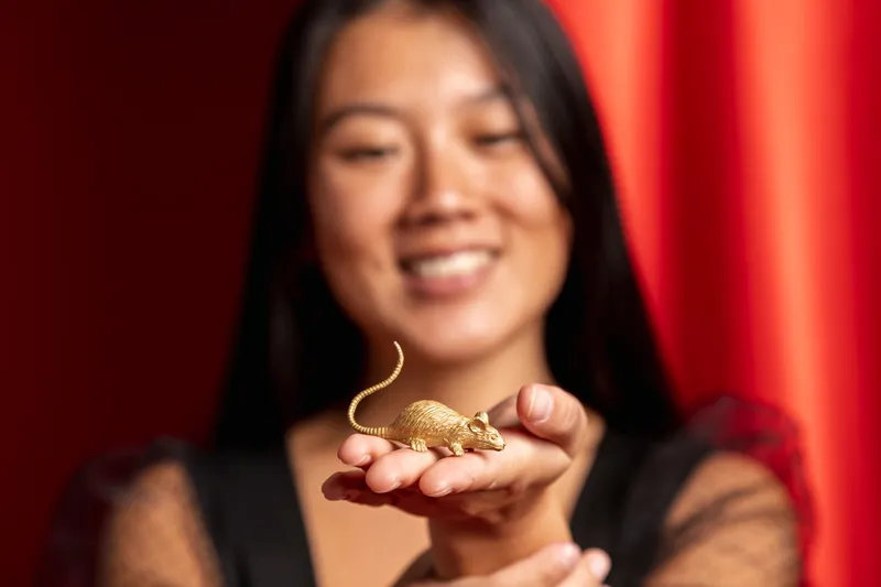 Horoscop chinezesc - Foto: Freepik
