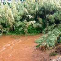 Avertizare de călătorie pentru românii care merg în Spania. Sunt anunțate precipitații puternice Foto: Profimedia Images (fotografie cu caracter ilustrativ)