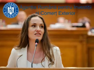 Oana Țoiu - Foto: Facebook / Oana Țoiu
