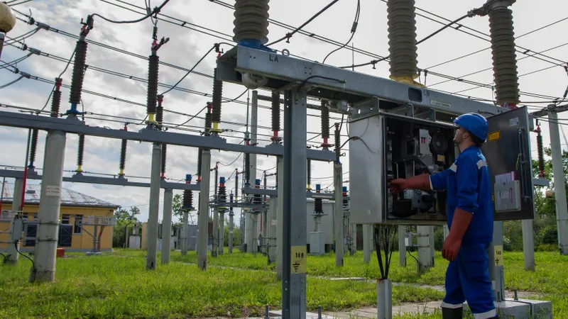 65.000 lei/lună pentru șefa de serviciu din Societatea de Administrare a Participațiilor în Energie - Foto: FB / Electrica