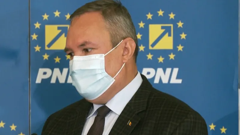 Nicolae Ciucă. Sursă imagine: Facebook PNL