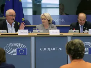 Premierul Dăncilă la discuția cu grupul socialist Foto Guvernul României