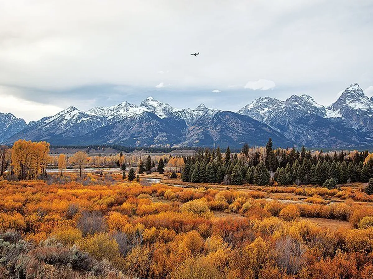 Aeroportul Jackson Hole