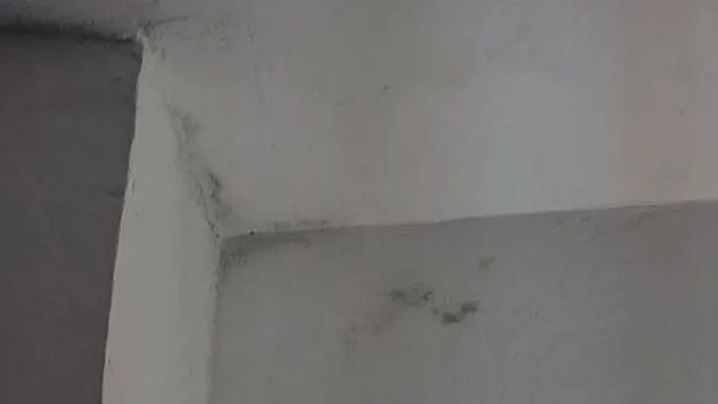 „Condiții” la un hotel de 350 lei pe noapte în Mamaia: Igrasie, pereți scorojiți, baie jalnică - Foto: replicaonline.ro