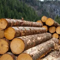 Control, la Romsilva: cheltuieli cu personalul depășite cu 49.000.000 lei, prime de 46.000.000 lei - Foto: Freepik (Imagine cu rol ilustrativ)