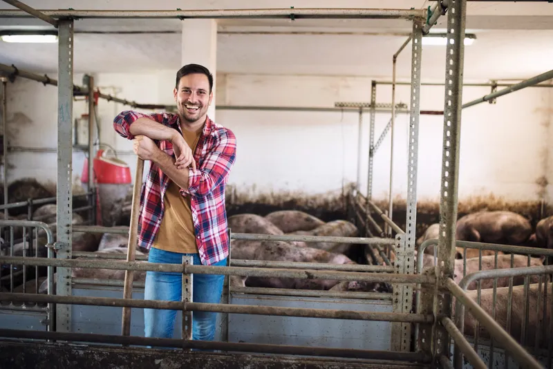 Bărbat &icirc;ntr-o fermă cu porci - Foto: Magnific.com (Imagine cu rol ilustrativ)