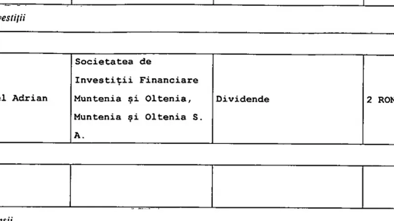 Sursa: Declarația de avere a lui Adrian Streinu-Cercel. Sursa: ANI