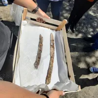 La Pericei, în Sălaj, au fost descoperite Resturile funerare ale unui cavaler medieval de rang înalt. / Foto: agerpres.ro