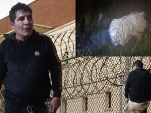 Criminalul „Păianjenul”,  prins în timp ce încerca să evadeze din închisoare deghizat în oaie - FOTO: Jampress