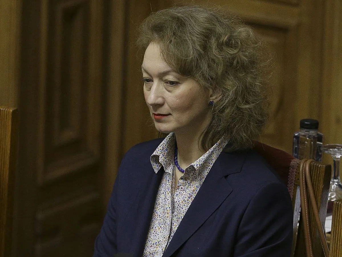 Simina Tănăsescu, preşedintele CCR - Foto: INQUAM PHOTOS/Octav Ganea