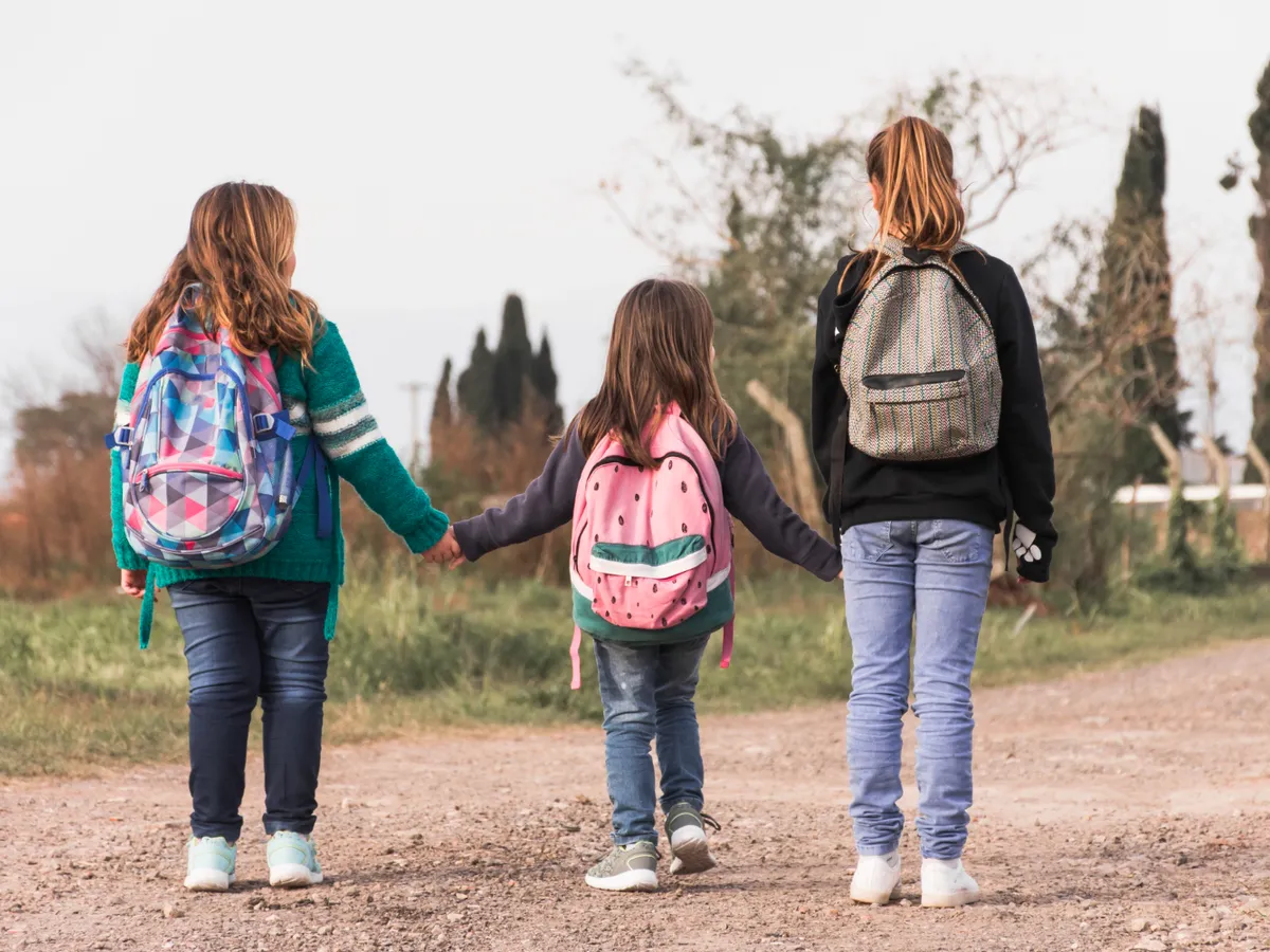 La ce magazine poți folosi cardurile educaționale? În cât timp pot fi folosiți cei 500 de lei?