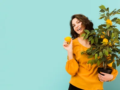 Cum poți crește un lămâi într-un ghiveci la primăvară? Îl poți ține în casă dacă are lumină - Foto: Freepik (Imagine cu rol ilustrativ)