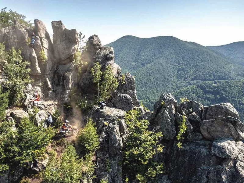 Wolf’s nest, locul unde pare că esti în Jurassic Park