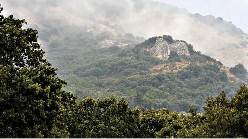 Valea Rhône-ului din Franța
