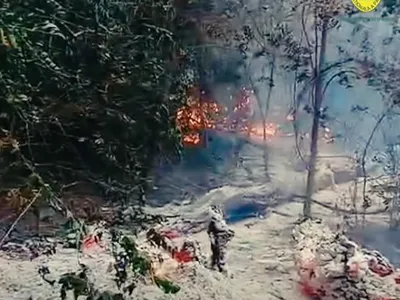 Incendiu într-o pădure din Tulcea - Foto: Facebook/Romsilva